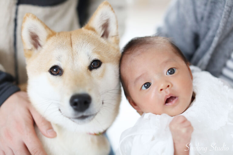 赤ちゃんとワンちゃん写真