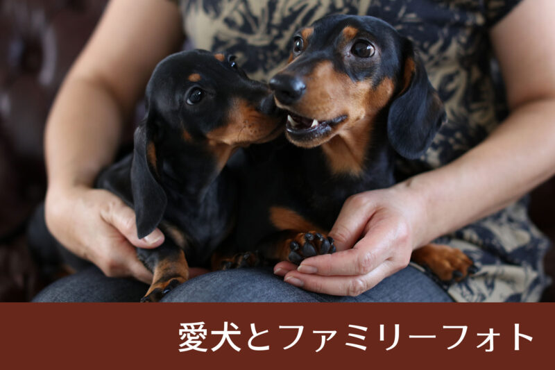 愛犬とファミリーフォト